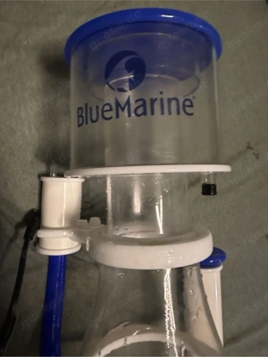 Blue Marine Skim 600