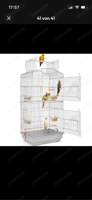 vögel käfig 1 monate alt 