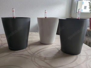 Lechuza Orchideentöpfe 