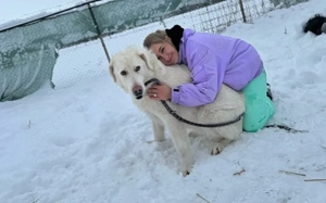 Mandy sucht ihr XL-Körbchen! Bild 9