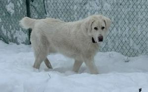 Mandy sucht ihr XL-Körbchen! Bild 6