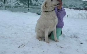 Mandy sucht ihr XL-Körbchen! Bild 7
