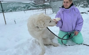 Mandy sucht ihr XL-Körbchen! Bild 3