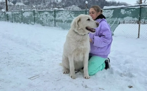 Mandy sucht ihr XL-Körbchen! Bild 2