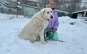 Mandy sucht ihr XL-Körbchen! Bild 8