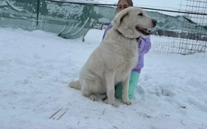 Mandy sucht ihr XL-Körbchen! Bild 4