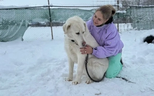 Mandy sucht ihr XL-Körbchen! Bild 10