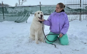 Mandy sucht ihr XL-Körbchen! Bild 5