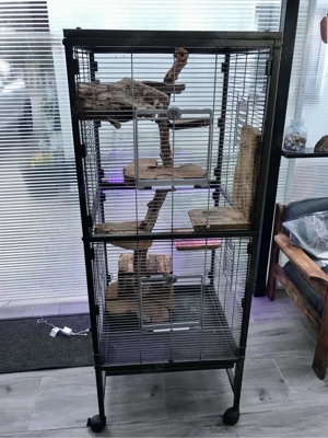 Voliere Käfig mit Flachdach für Vögel oder Nager 