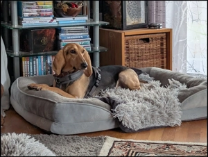 Maria sucht eine Familie