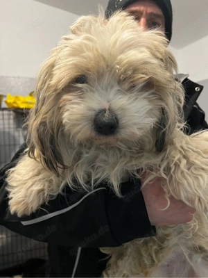 Monty sucht ein warmes Körbchen