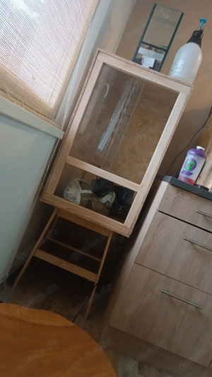 Hochterrarium 50x50x80