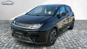 BYD Dolphin Design Wärmepumpe Alu LED NAV Kamera360°