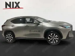 Lexus NX 350h 2.5 Hybrid Executive Line 360° KLIMA Bild 3