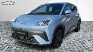 BYD Dolphin Surf Boost Link ACC Keyless Navi Kamera