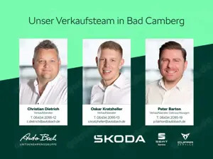 Skoda Scala Tour 1,0 TSI DSG LED KESSY virtual EPH Bild 5