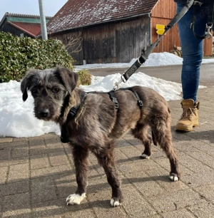 Lena, 4 Jahre, sehr schüchtern