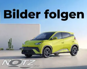 BYD Dolphin Surf Boost, AKTIONSPREIS