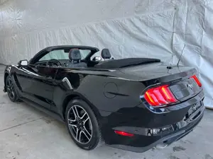 Ford Mustang 2.3Cabrio  LEDER CARPLAY KAMERA LED Xenon Bild 4