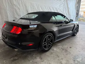 Ford Mustang 2.3Cabrio  LEDER CARPLAY KAMERA LED Xenon Bild 3