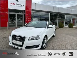 Audi A3 Cabriolet 1.8 TFSI Ambition TOP-Zustand WINDSCHOTT