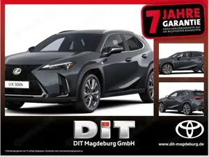 Lexus UX 300h F Sport Design ACC+LED+Navi+SHZ+LM