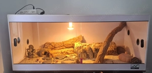 Terrarium Kunsstoff 120x60x50