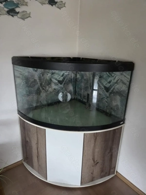 !! Muss weg !! Eckaquarium Fluval Venezia 350!! 