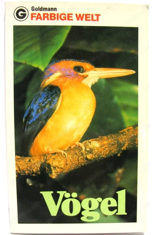 Buch - Vögel - Farbige Welt - Goldmann - 1978 - gut erhalten
