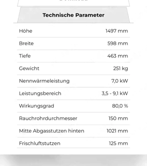 Kaminofen ECUADOR H SE mit Aussenschornstein inkl. Glaseckschutz Bild 4
