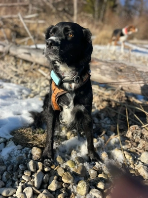 Linda sucht ihre Menschen