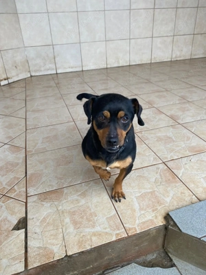 Liza - kleiner Schatz sucht Familie