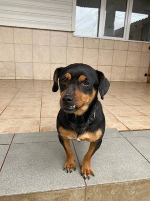 Liza - kleiner Schatz sucht Familie