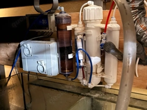 Meerwasser Aquarium Bild 2