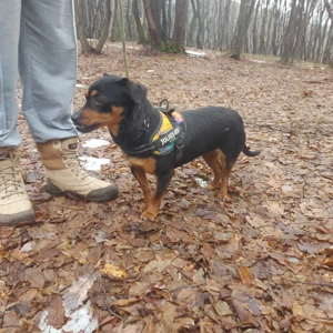 Liza - kleiner Schatz sucht Familie