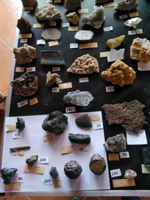 Auflösung einer hochwertige Mineralien - Sammlung Teil 1