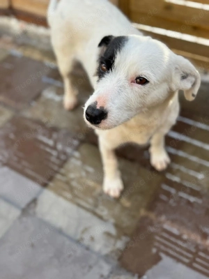 Spoty sucht Ihre Menschen!