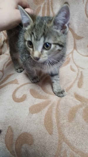 Süß und nochmals einfach nur süß 