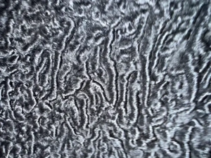 SWAKARA  Karakul Lammfell Mantel Vintage Eleganz Damen Echtfell Bild 4