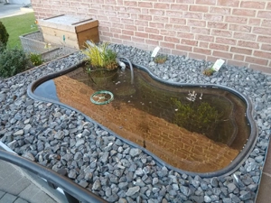 Teichwanne 1000 Liter inkl Zubehör 