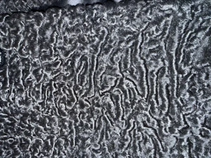 SWAKARA  Karakul Lammfell Mantel Vintage Eleganz Damen Echtfell Bild 5