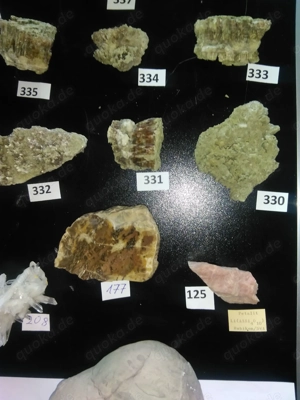 Auflösung einer hochwertige Mineralien - Sammlung Teil 4 Bild 10