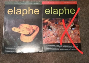 elaphe Zeitschriften 