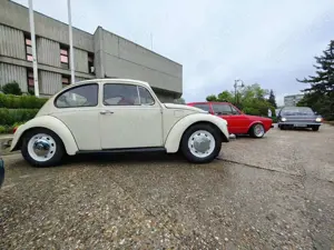 Volkswagen Beetle Bild 3
