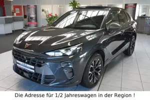 CUPRA Terramar 2.0 TSI DSG4Drive*AHK*PANO*HEADUP*DINAM