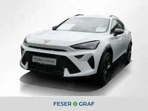 CUPRA Formentor 2.0 TSI VZ DSG 360° AHK Matrix Sennh.