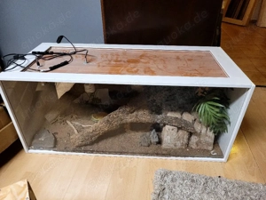 Terrarium 120x60x60 umgebaut aus Hamsterkäfig