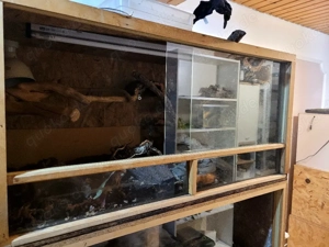 OSB-Terrarium 120x60x60