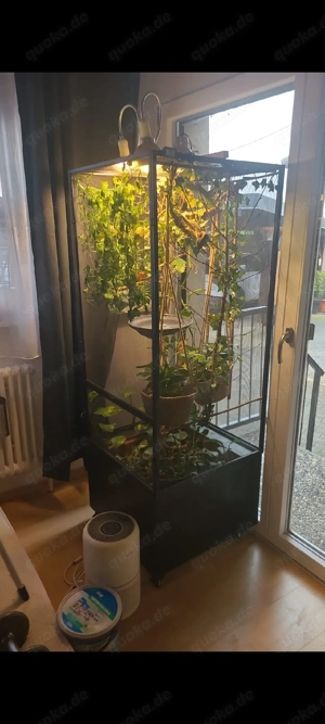 ZooMed ReptiBreeze Terrarium 60x60x160cm