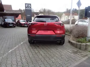 Mazda CX-30 2.5L e-SKYACTIV G 140ps 6AT FWD Homura Bild 4